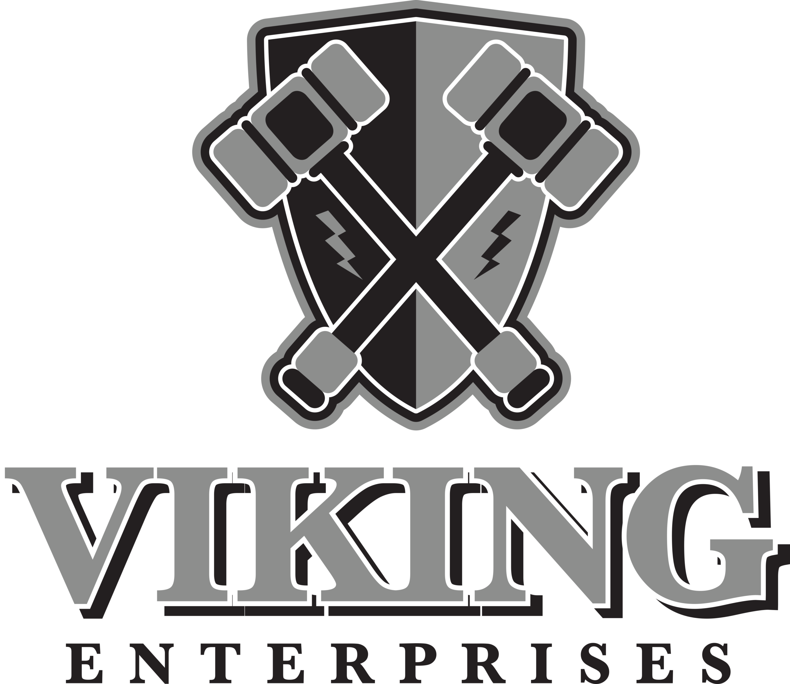 viking logo